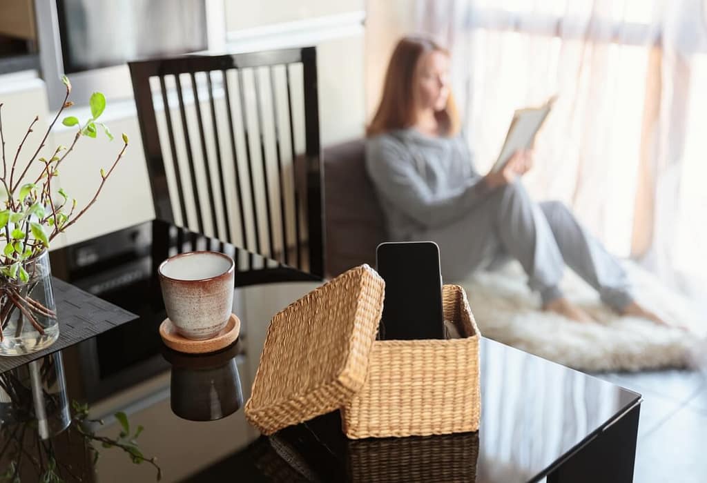 Detox Digital: Como se Desconectar e Recuperar Sua Mente e Seu Tempo