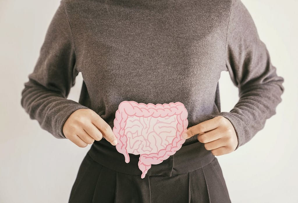 Alimentos que Curam o Intestino